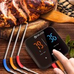 Digoo DG-FT2303 Smart Bluetooth Touch Screen Three Channel Food Thermometer