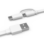 Huawei AP55S 2-in-1 Type-C Micro USB 2A 1.5m Data Sync and Fast Charging Flat Noodle Cable