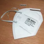3M 9001 N95 PM2.5 Particulate Respirator Dust Smog Flat Fold Style Mask