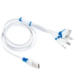 Capshi 4-in-1 Micro USB, Mini USB, Apple Lightning 8-pin and 30-pin 2A Fast Charging Cable