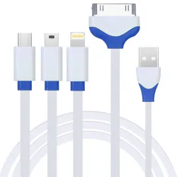 Capshi 4-in-1 Micro USB, Mini USB, Apple Lightning 8-pin and 30-pin 2A Fast Charging Cable