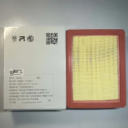 SAIC MOTOR Genuine China Air Filter 10349552