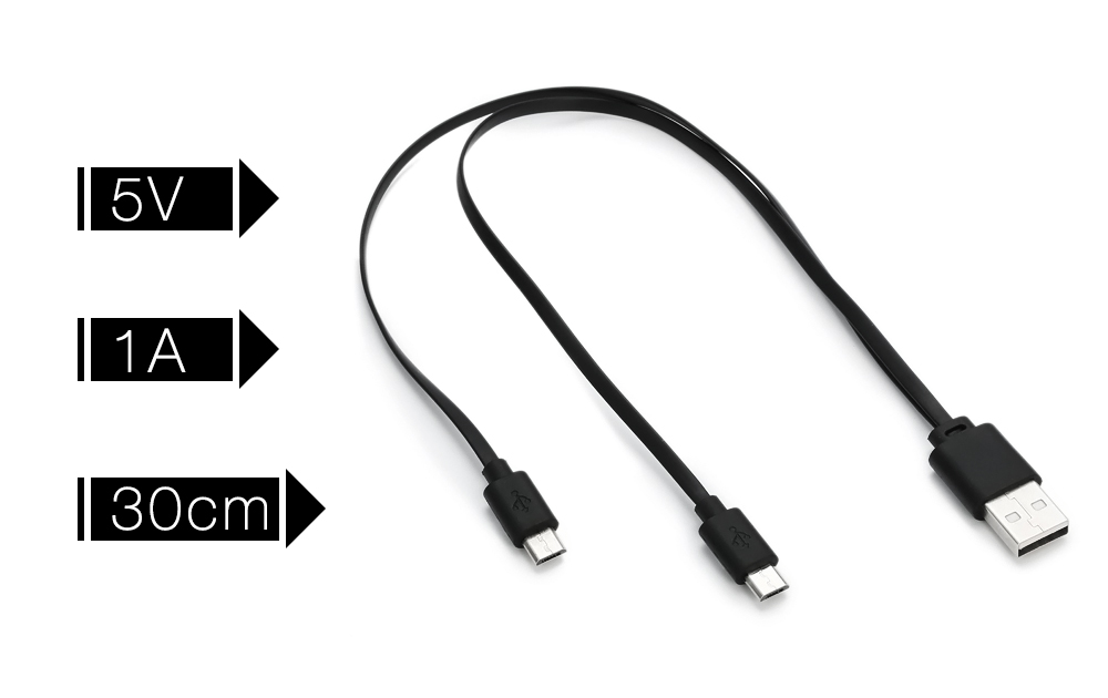 digoo dg-bb-2hc double head micro usb 1a 0.3m flat charging cable